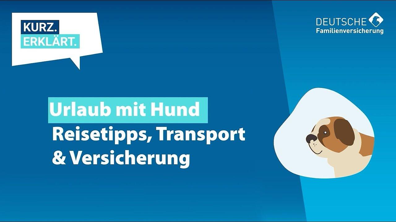 Urlaub mit Hund - Versicherung und Reisetipps | DFV Tierkrankenschutz | Ratgeber Hund und Katze #13