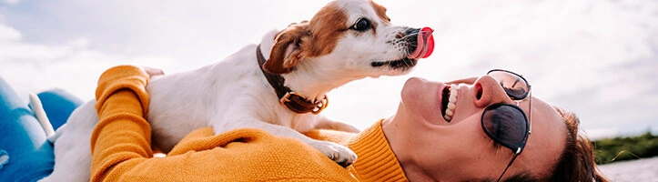 Hund und Frau liegen auf dem Boden und freuen sich