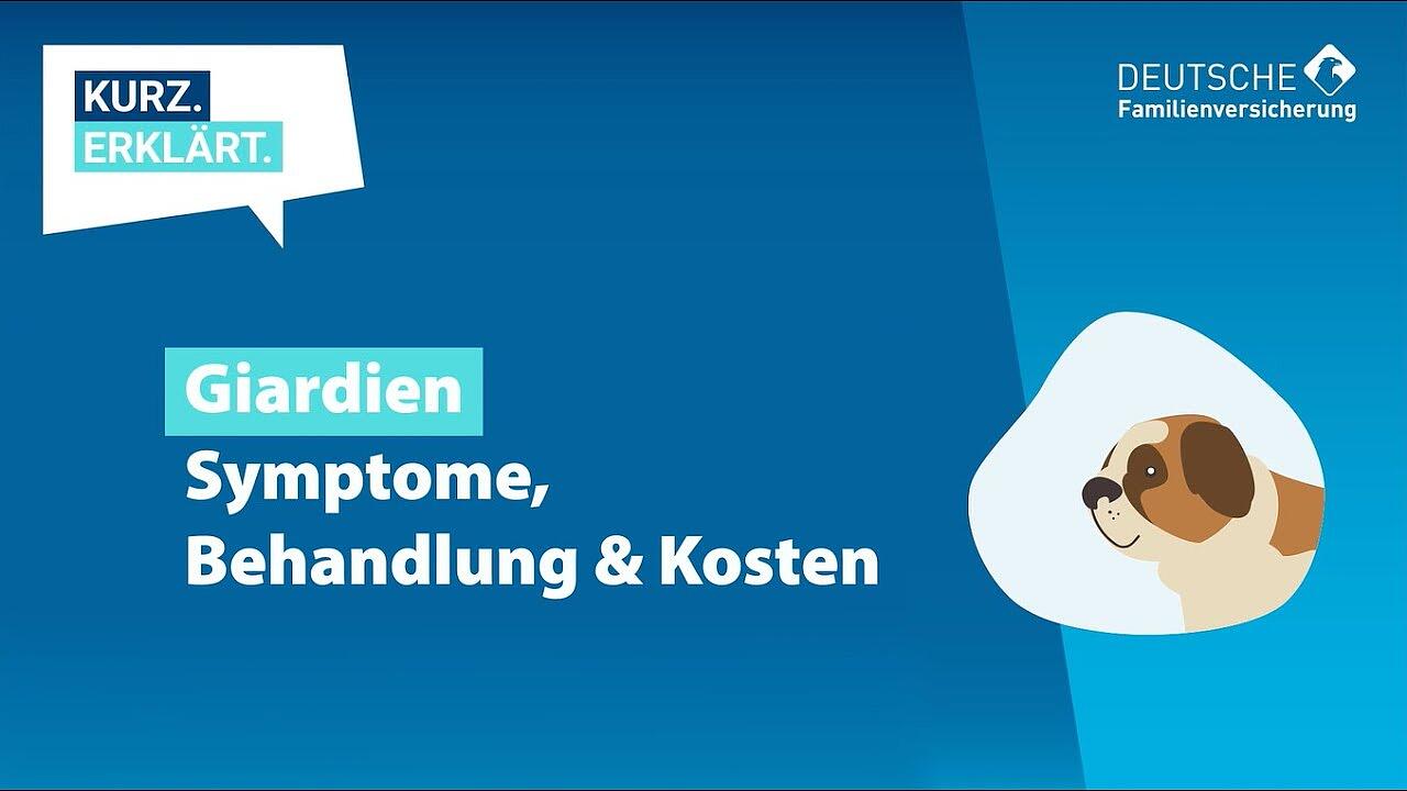 Giardien - Ursachen, Symptome und Behandlung | DFV Tierkrankenschutz | Ratgeber Hund und Katze #18
