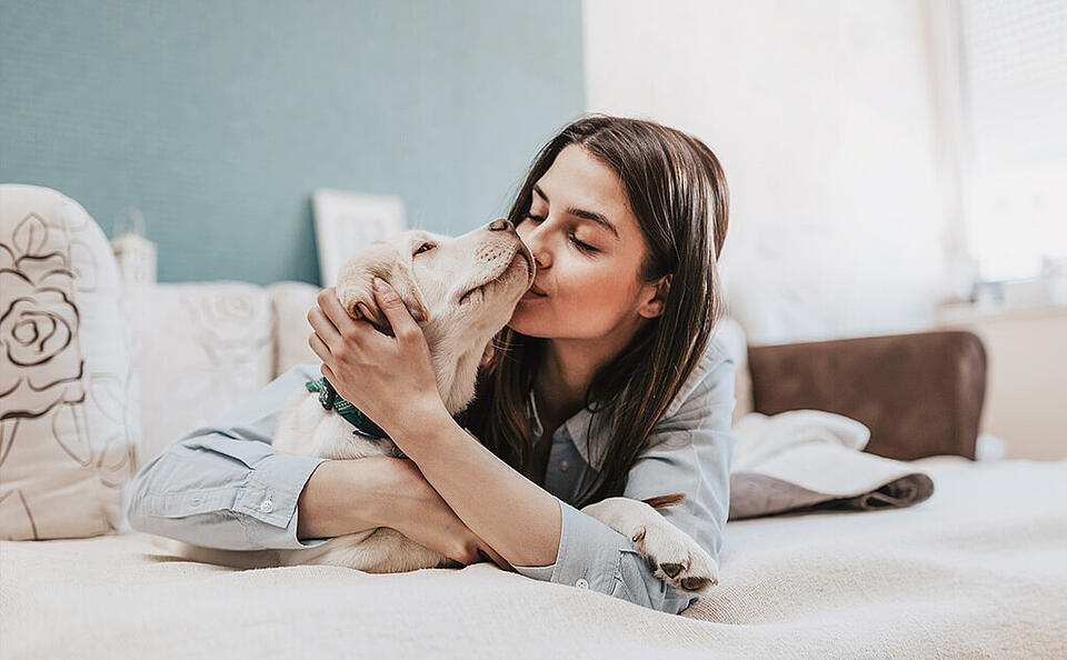 Hundekrankenversicherung Hundekrankenversicherung