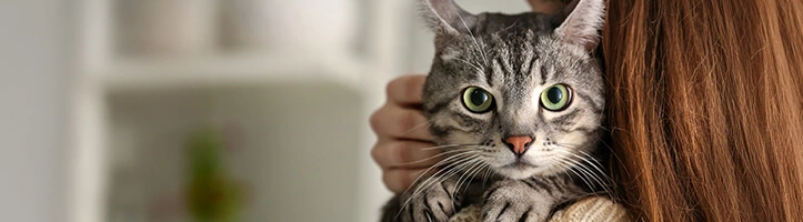 Eine Frau hält eine Katze auf dem Arm. 