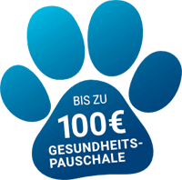 100 € Gesundheitspauschale im Jahr