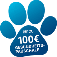 Gesundheitspauschale Gesundheitspauschale