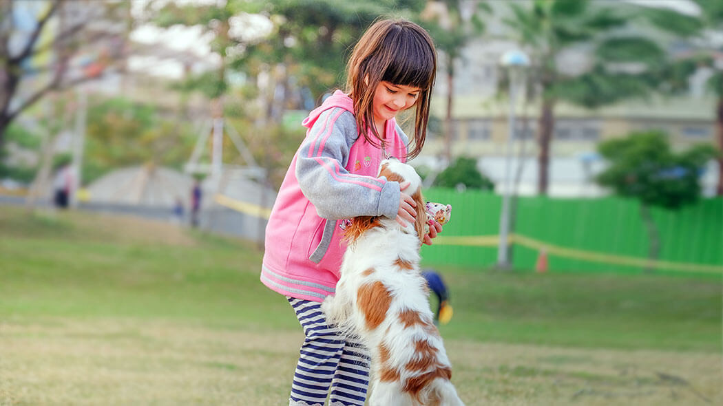 Hunde psychische Entwicklung Kinder
