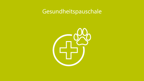 Gesundheitspauschale für Ihren Hund 
