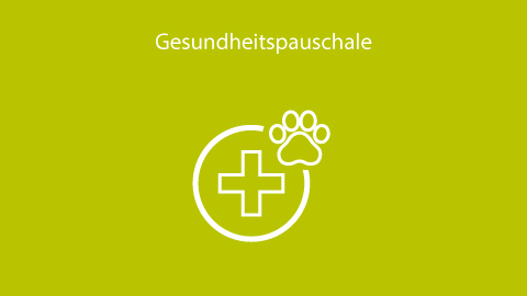 Gesundheitspauschale für Ihre Katze