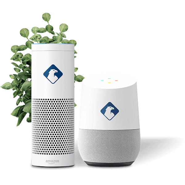 Google Home und Alexa Google Home und Alexa